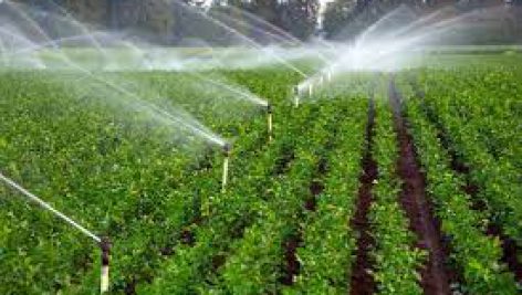 آب و آبیاری در کشاورزی