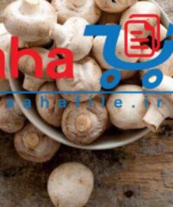 طرح توجیهی و امکان سنجی پرورش قارچ (3 طرح)